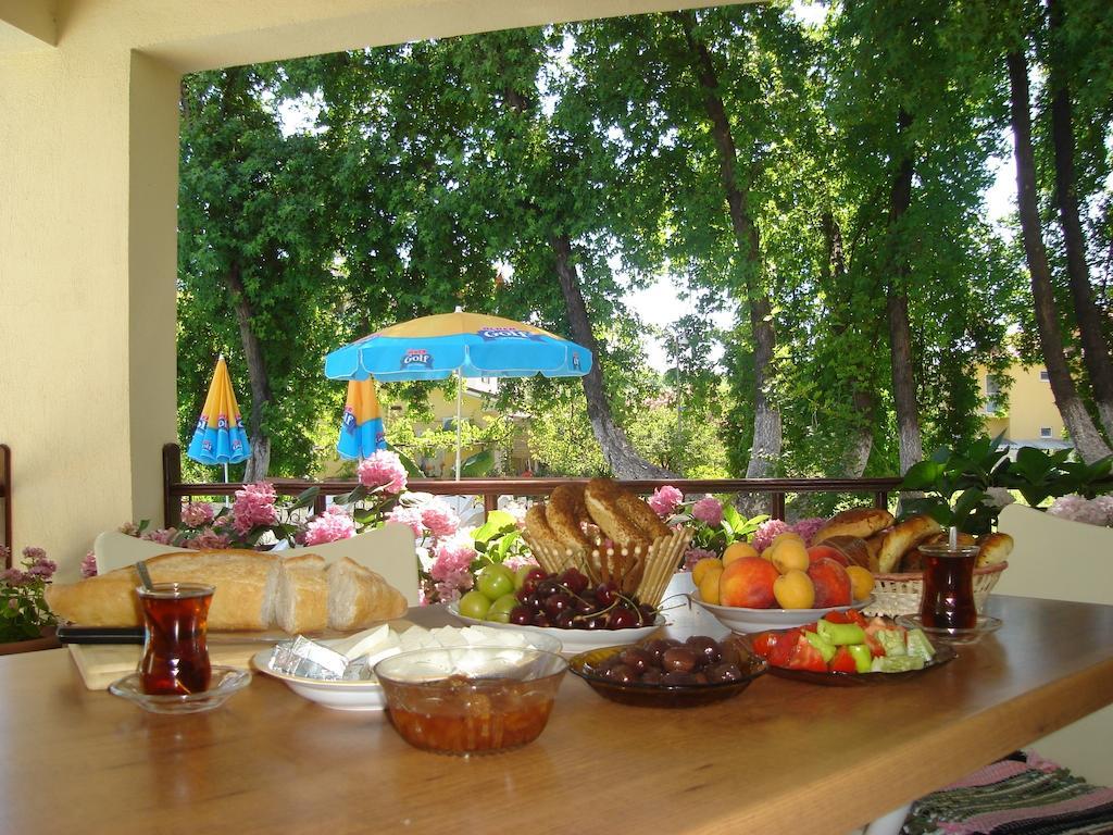 Begonville Villa Koycegiz エクステリア 写真