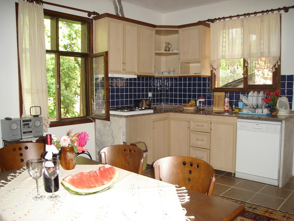 Begonville Villa Koycegiz 部屋 写真